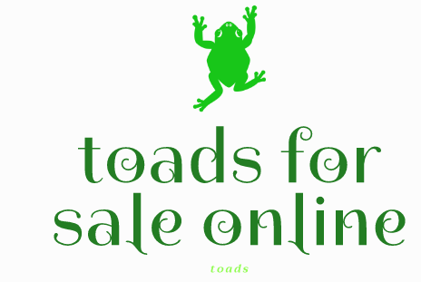Toads For Sale Online